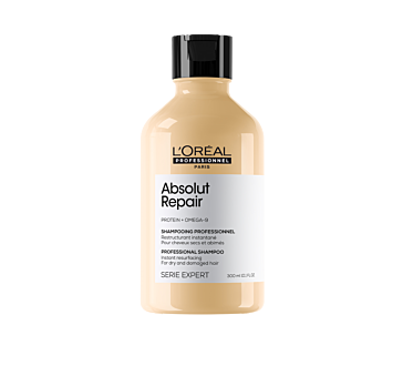 ABSOLUT REPAIR